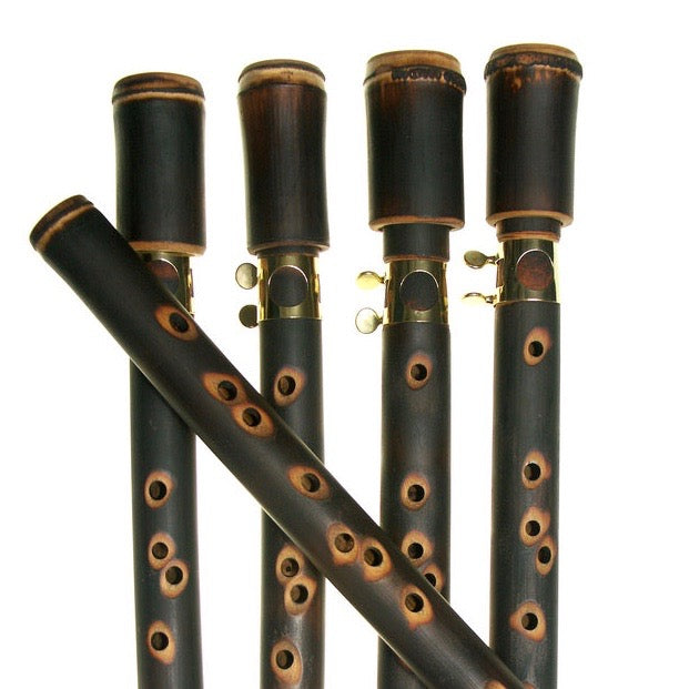 ZJCHAO Mini Sax Saxophone de poche portable Saxophone de pratique avec sac  de roseaux Instrument à vent en bois Sib Tune - Achat / Vente saxophone  ZJCHAO Mini Sax Saxophone de 
