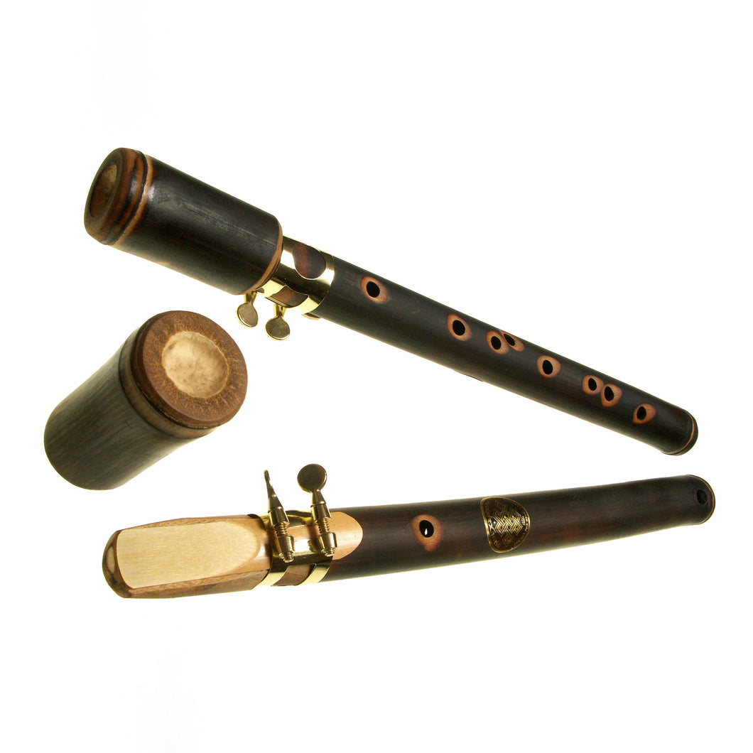 Buy Xaphoon Pocket Sax, Music Instruments, Orchestra Band, Woodwinds